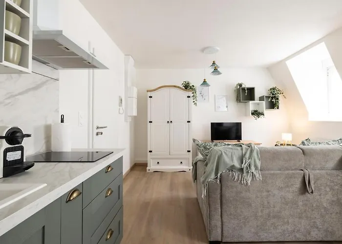 Monséjourcosy - Le - - Cosy - Netflix * Mulhouse